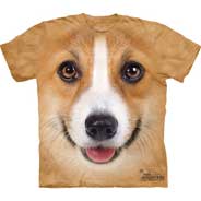 Corgi