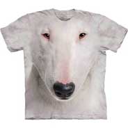 Bull Terrier Face