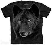 Black Wolf